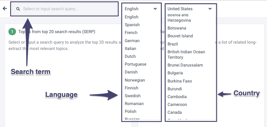 Search term language