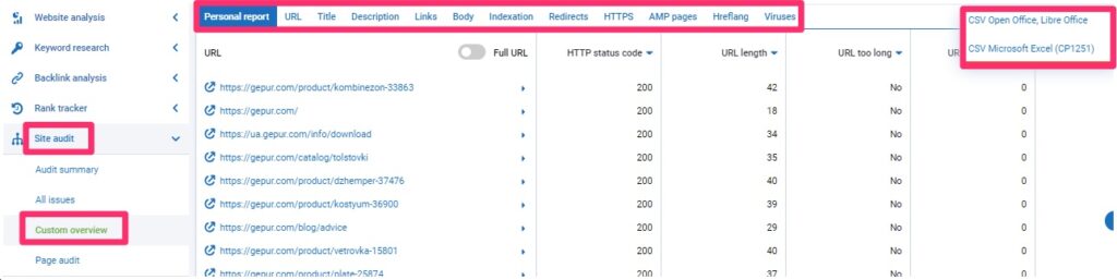 site audit custom overview